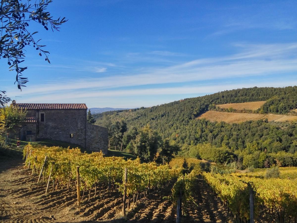 Agriturismo Piemaggino Castellina in Chianti Eksteriør bilde